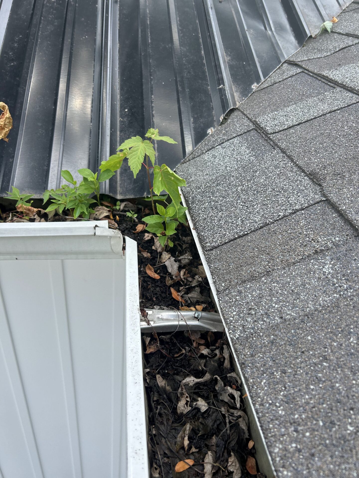 an image that represents gutter cleaning