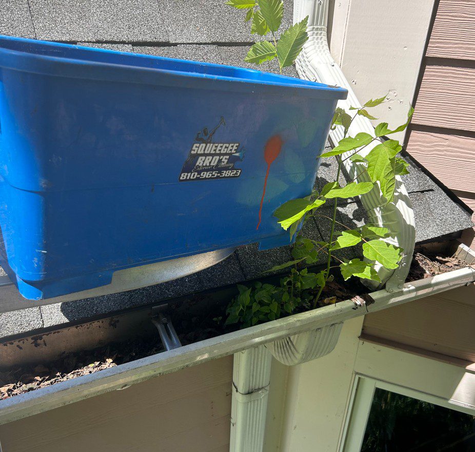 an image that represents gutter cleaning